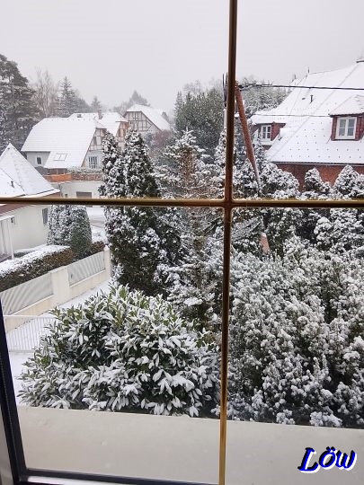 24.12.2025 - Schnee